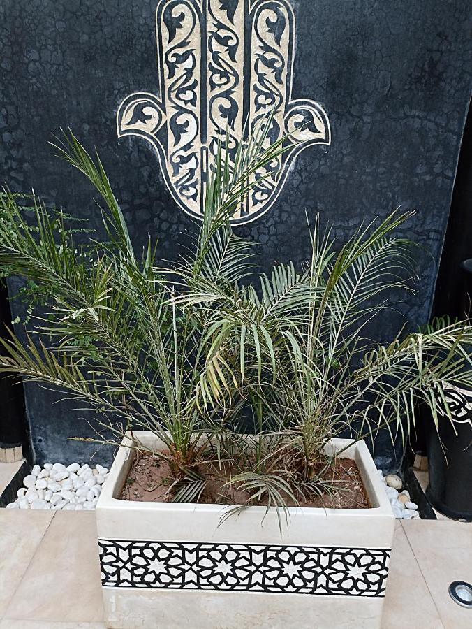 Riad Excellence Marrakesh Eksteriør bilde